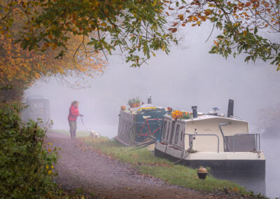 Misty morning walk